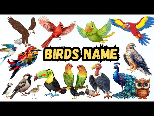 Birds Name 🦜 Birds Name In English With Pictures & Videos | Bird Species #kids #birds #learnenglish