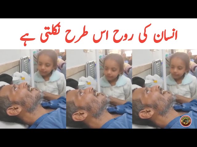 Syed Ali Last Video | Tauqeer Baloch