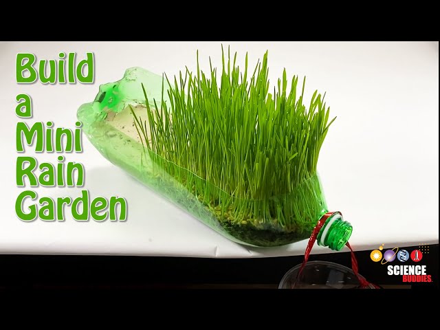 Rain Garden Science Experiment