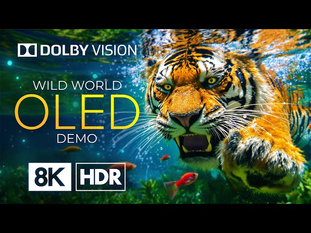 OLED 8K HDR 60fps with Dolby Vision – Experience Stunning Clarity