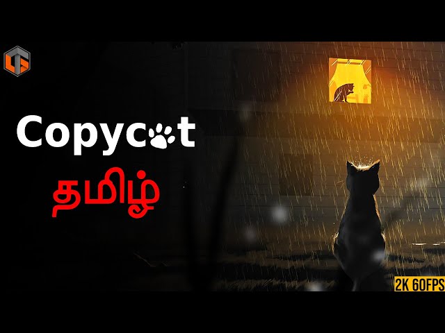 பூனை COPYCAT Live Tamil Gaming