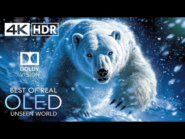 UNSEEN OLED 4K HDR 60FPS Dolby Vision 4K Video ULTRA HD