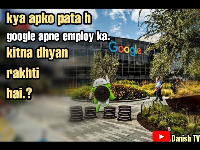 Kya Aapko Pata Hai Google Apne Employe Ka Kitna Dhyaan Rakhta Hai...