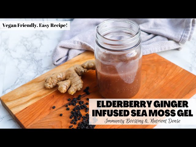 Elderberry Ginger Infused Sea Moss Gel |Easy Recipe | Immunity Boosting & Nutrient Dense