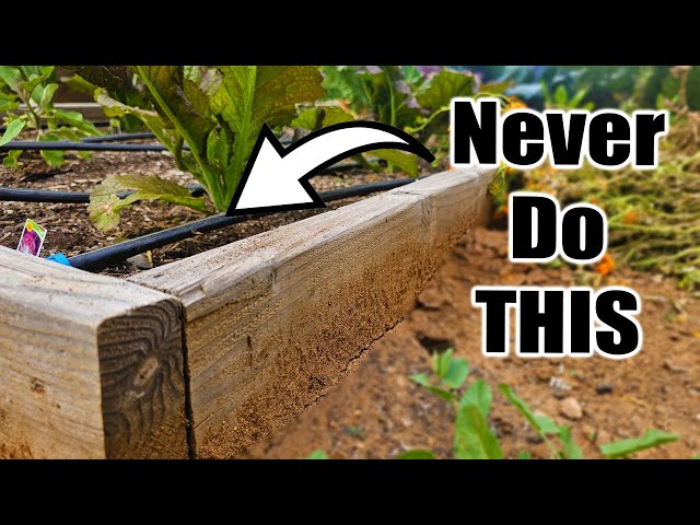 5 Beginner Raised Bed Garden WATERING MISTAKES to Avoid