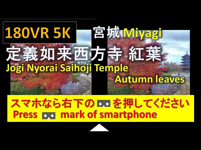 【180VR 5K 】定義如来西方寺 jogi Nyorai Saihoji Temple Autumn leaves