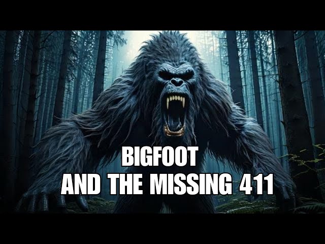 Bigfoot Encounter Stories: Bigfoot and the Missing 411 Connection