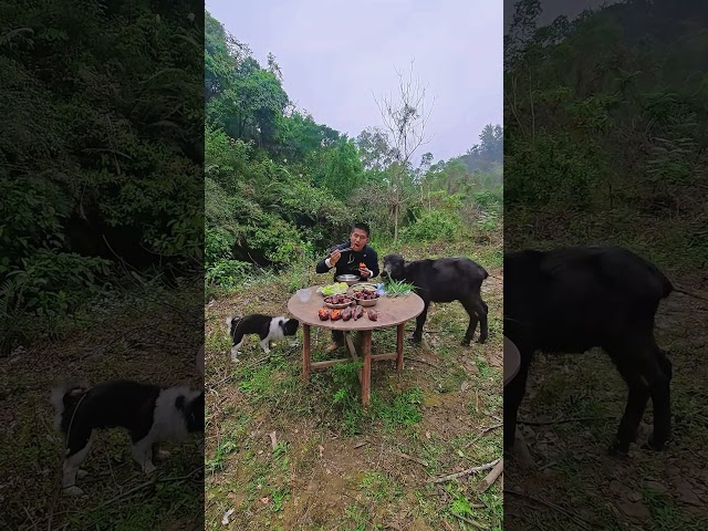 跟狗哥牛弟一起去野餐