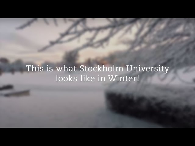 This is what Stockholm University looks like in Winter!