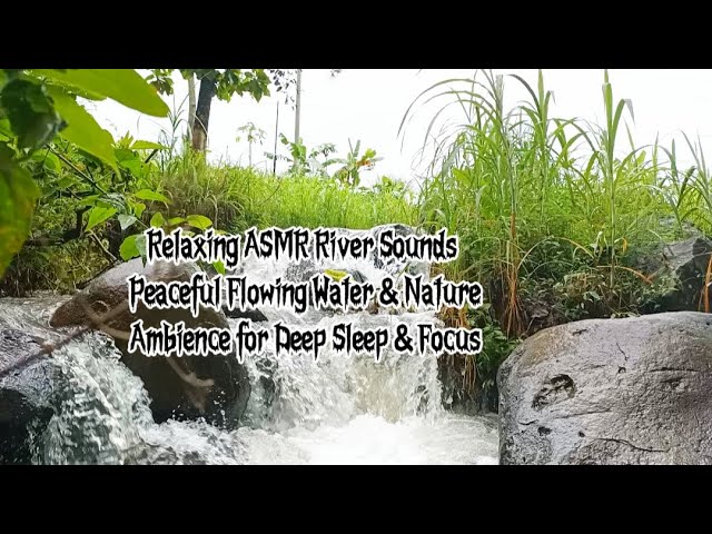 Relaxing ASMR River Sounds | Peaceful Flowing Water & Nature Ambience for Deep Sleep & Focus