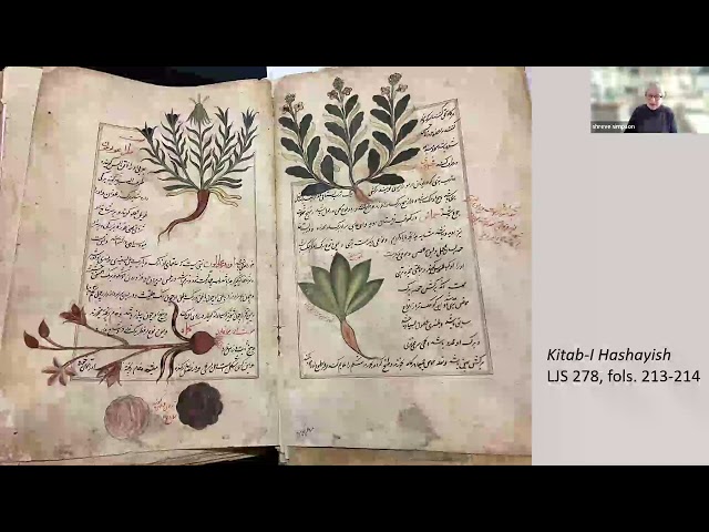 Dioscorides Disordered: Penn's Persian Kitab-i Hashayish