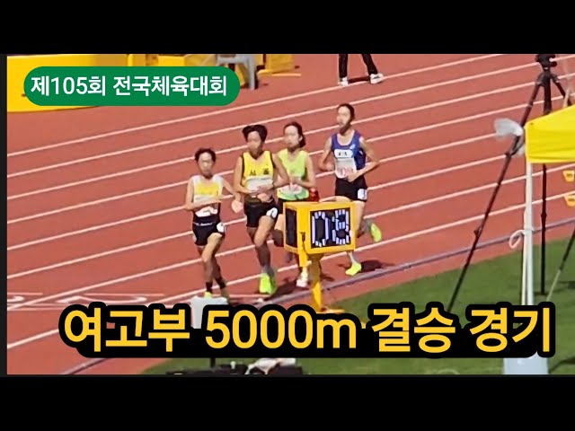 제105회 전국체전 여고부 5000m #sports #athletics #marathon #육상 #달리기 #마라톤 #중장거리 #러닝 #김해 #전국체전 #박혜민 #이지연 #김미정