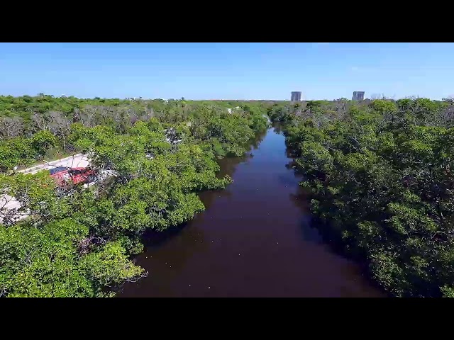 Ft. Myers: Bunche Beach