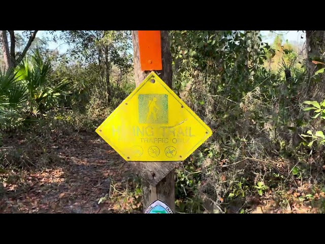 Florida Trail Thru-Hike (Green Swamp - West Tract, Mile 347.4 - Pt. 3)