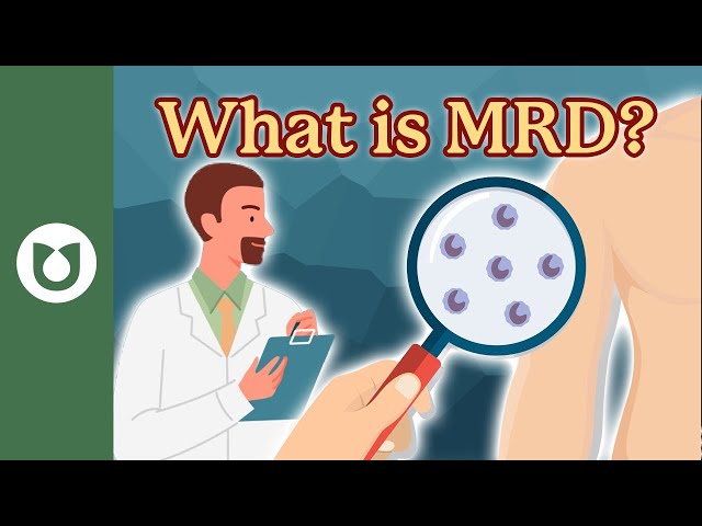 What is MRD and why is testing for it useful in AML? #AML