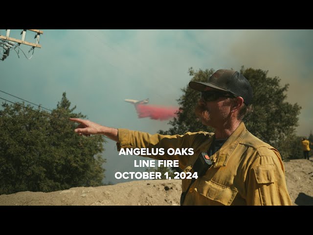 #LineFire Update: Angelus Oaks (10/1/2024)