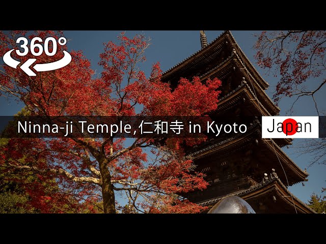 【8K 360°】World culture heritage Ninna-ji temple in autmn【Japan-VR video】