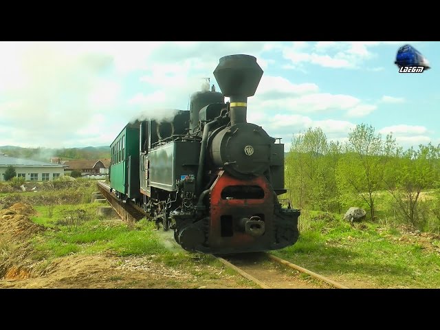 Calatorie cu/Ride With Mocanita 764-243 CFI Steam Loco pe Ruta/on Route Brad-Criscior 21 April 2017