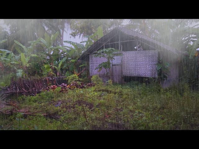 [4K] Rainy Season in Rural West Java | refreshing walk in the Heavy rain | Wow.. This is delicious,