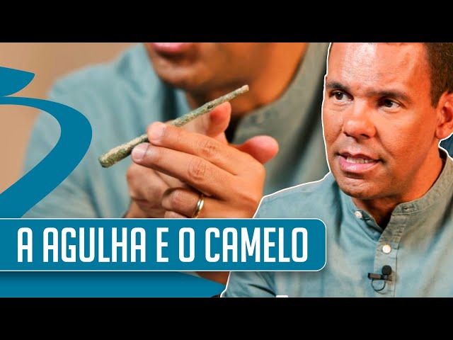 A agulha e o camelo I Tesouros do MAB com Rodrigo Silva