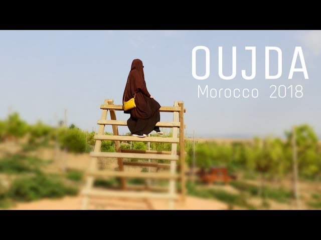 Morocco Vlog 2018 3 -  Cute Baby Camels