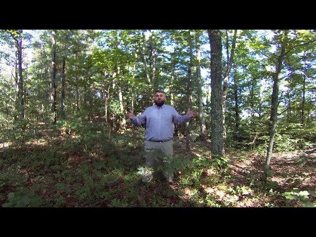 Southern Appalachian Forested Ecosystems 360° - Oak-Pine-Heath Forests 3 of 3