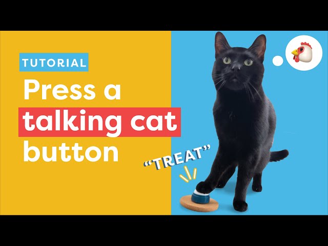 Teach Your Cat To Press A Talking Button