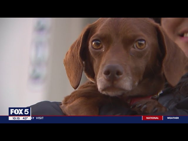 District Heights family reunited with stolen dog Canela | FOX 5 DC