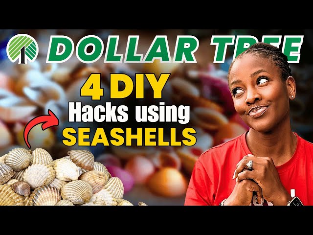 4 Brilliant Dollar Tree DIY hacks using Seashells