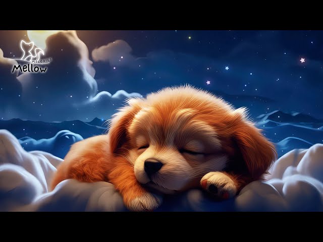 Peaceful Sleep In 3 Minutes, Fall Asleep Fast, Sleep Music for Deep Sleep, No More Insomnia