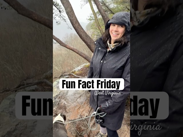 Fun Fact You Didn’t Know | West Virginia | New River Gorge #shorts #funfactfriday #travel #roadtrip