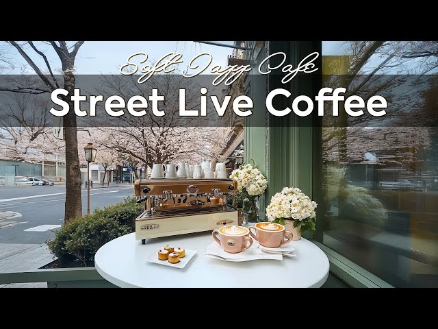 Street Live Coffee ~ Soft Jazz Cafe & Morning Bossa Nova for Chillout, Focus on Spring Days🥨☕