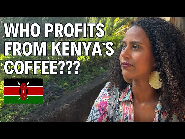 I Visited a Kenyan Coffee Farm – What I Learned Shocked Me!