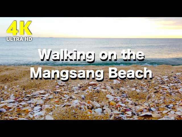 4K Nature in korea | Walking on the Mangsang Beach  | Ocean wave sound