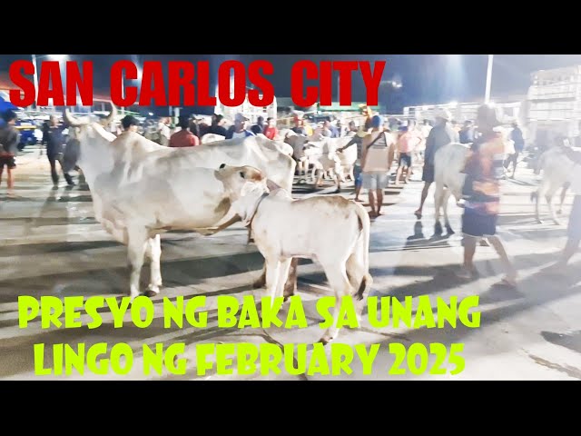 February 08, 2025 Update  Presyo ng Baka  sa San Carlos Livestock Market in Pangasinan #livestock