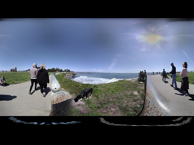 Santa Cruz 360 Lighthouse Surfers #1