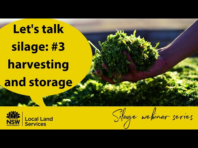 Silage webinar #3 - Harvesting and storage