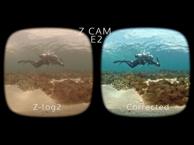 VR180 ZCAM E2 Underwater 10-Bit Color Correction Test 5.7K 60fps Oculus