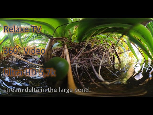 Relax TV: 5.7K 360° stream delta in the large pond | Unser Goldhof ( Ultra HD VR Version ) VR360