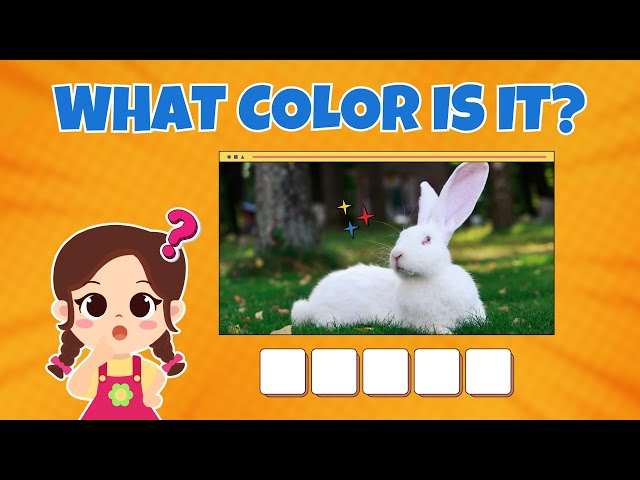 Guess The Color | What Color Is It? | Color Game for Kids