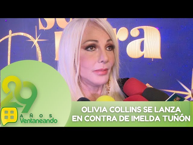 Olivia Collins se lanza en contra de Imelda Tuñón | Programa 13 febrero 2025 | Ventaneando