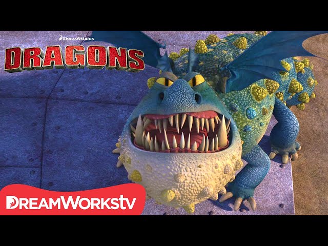 How to Tame Rock Eating Boulder Dragons | HOW TO TRAIN YOUR DRAGON