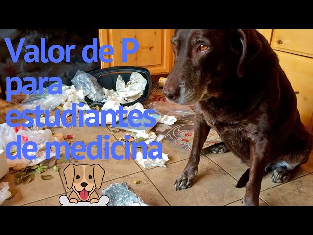 Valor de P para estudiantes de MEDICINA: Explicado con PERRITOS