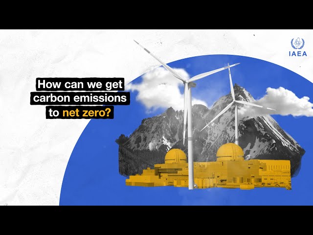 How can we get carbon emissions to net zero?