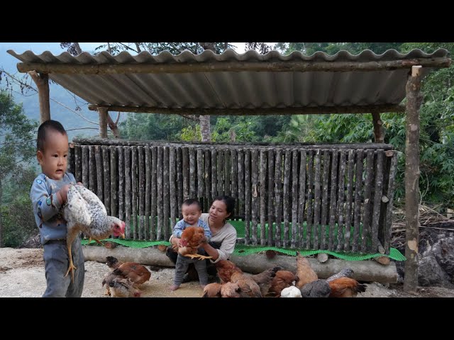 Single mother and baby processing dried fish - building new chicken coop