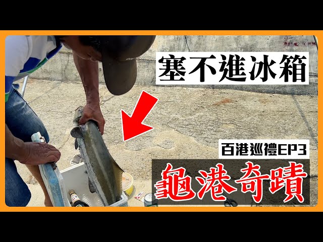 【百港巡禮EP3】一隻就爆桶！所有人都看衰的港口...完全洗刷啦！永安漁港 @RJ10969 @JENGANADI #釣魚 #桃園 #沉底 灘釣/沙梭/花身雞魚/海鱺