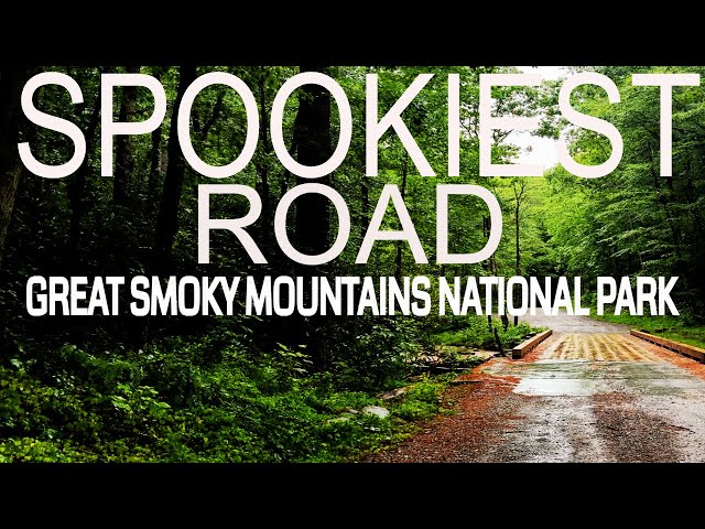 Spookiest Road in Great Smoky Mountains National Park    4K