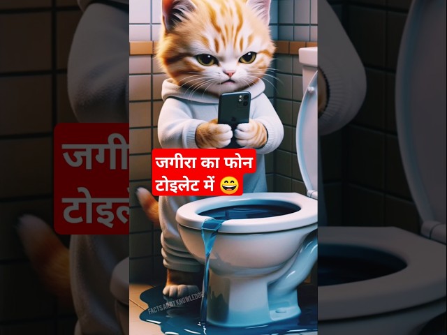 Cat's phone fell in the toilet 🐈📱#ai #story #catshorts #aicat #funnymeow #funnycat #aicat