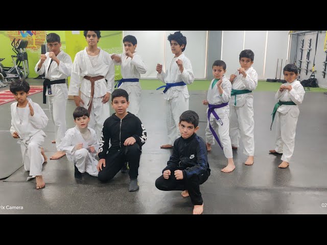 lupo mabunga vlog is live karate kids tutorial training day 2/3/2025