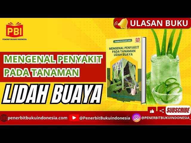 Mengenal penyakit Pada Tanaman Lidah Buaya